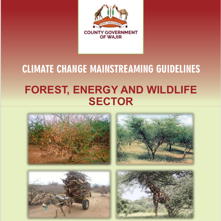 Wajir - Forest, Energy and Wildlife Sector - Climate Change Mainstreaming Guidelines